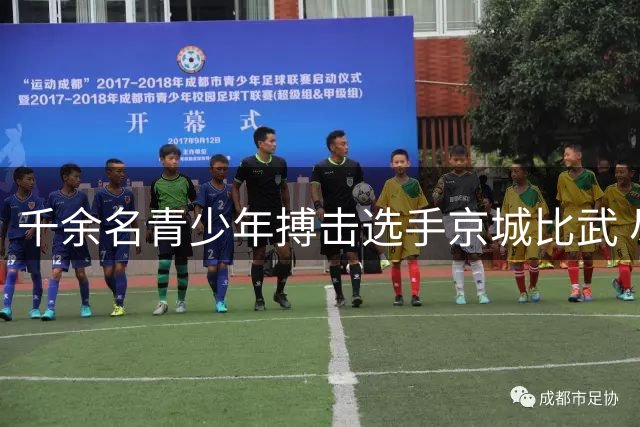 千余名青少年搏击选手京城比武 尽锐出战赛事圆满收官
